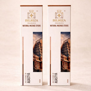 Bilriza Fragrance Agastya Incense Sticks – Pure, Long-Lasting Aromatic Blend (100gm 1 each)