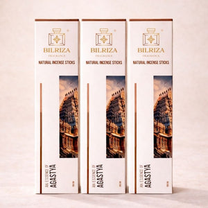 Bilriza Fragrance Agastya Incense Sticks – Pure, Long-Lasting Aromatic Blend (100gm 1 each)