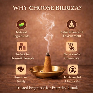 Bilriza Fragrance Camphor Fragrance Dhoop Cones – Natural Air Purifier for Puja & Meditation