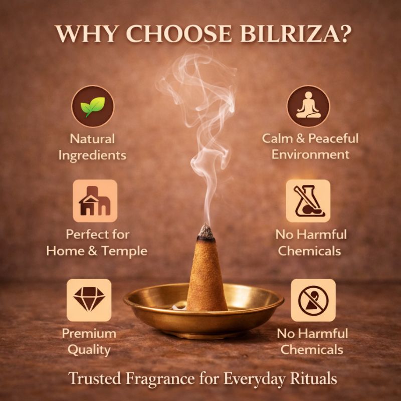 Bilriza Fragrance Camphor Fragrance Dhoop Cones – Natural Air Purifier for Puja & Meditation